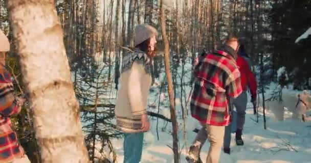 Visão traseira companhia de amigos felizes multiétnicos caminhar no ensolarado caminho da floresta de inverno nevado desfrutando de fim de semana câmera lenta. — Vídeo de Stock