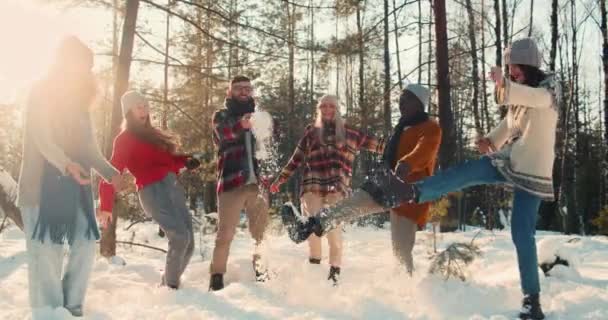 Filme lento cinematográfico idílico, diversão feliz amigos multiétnicos jogar neve sorrindo na floresta ensolarada inverno câmera lenta. — Vídeo de Stock
