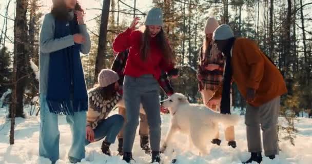 Vintersemester. Grupp glada roliga multietniska människor leker med stora vita hund på solig skog vandring slow motion. — Stockvideo