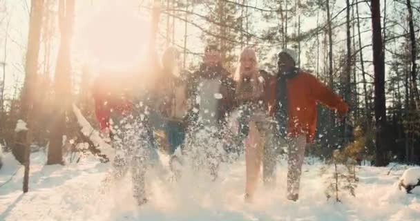 Зимові свята. Щасливі веселі багатоетнічні друзі позують, що штовхають сніг, посміхаються на сонячному лісі похід лінза спалахує повільний рух . — стокове відео