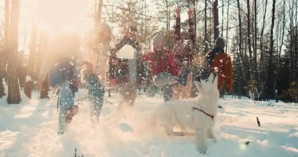 Grupo de amigos divertidos felizes brincando com a neve na magnífica floresta ensolarada, grande cão branco pula para pegar câmera lenta. — Vídeo de Stock