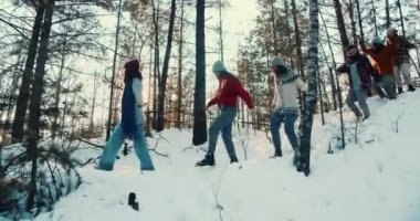 Sinematik yan manzara, mutlu bir grup arkadaş hafta sonu ağır çekimde köpekle karlı kış orman yolunda yürüyor.