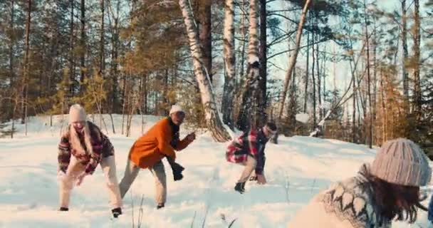 Idílico rodaje cinematográfico, amigos felices disfrutando de la pelea de bolas de nieve en el magnífico bosque de invierno nevado con perro de cámara lenta. — Vídeos de Stock