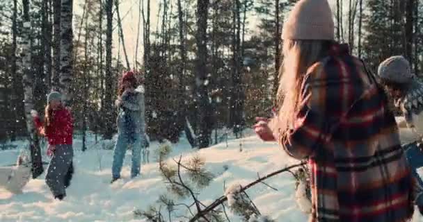 ダイナミックな映画撮影、犬のスローモーションで雪の冬の森で楽しい雪合戦を楽しむ幸せな多様な友人. — ストック動画