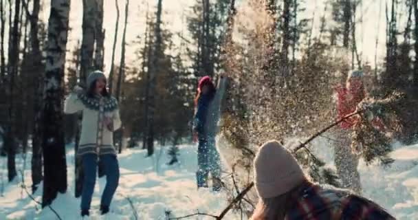 Ευτυχισμένοι και ποικίλοι φίλοι απολαμβάνουν διασκέδαση χιονοστιβάδας αγώνα στο ηλιόλουστο δάσος χειμώνα με το σκυλί για διακοπές Πρωτοχρονιάς μαζί αργή κίνηση — Αρχείο Βίντεο