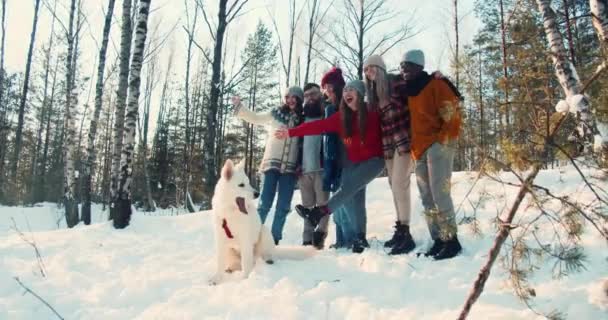 Winter vacation concept. Happy group of multiethnic friends and dog posing in sunny snowy forest together slow motion. — Stock Video