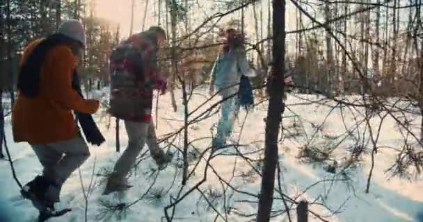 Langsom idyllisk film, lykkelig multietnisk vennetur på solrik vinterskogssti i julehelgen – stockvideo