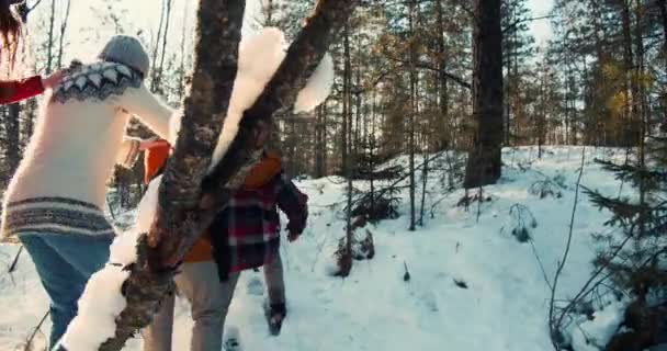 Kamera mengikuti bahagia multietnis teman-teman berjalan di cerah bersalju hutan musim dingin pada Natal akhir pekan kenaikan lambat gerakan. — Stok Video