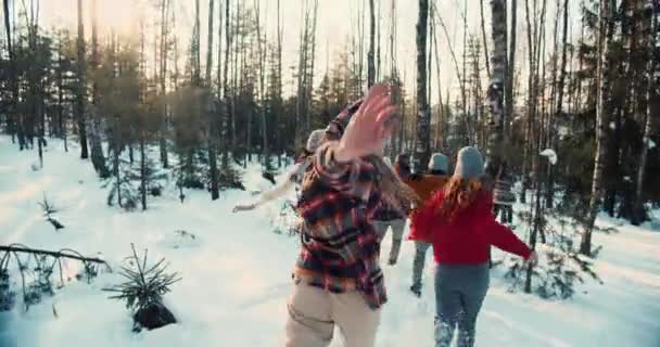 Aparat fotograficzny śledzi grupę podekscytowanych szczęśliwych przyjaciół biegających po śnieżnym lesie zimowym na słonecznych wakacjach Bożego Narodzenia slow motion. — Wideo stockowe