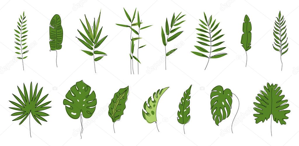 Set collection of exotic tropical big leaves. Monstera leaf, split leaf, fan palm leaf, bamboo leaf, banana leaf, coconut leaf. Outline vector illustration Biophilia in hand drawn one line art.