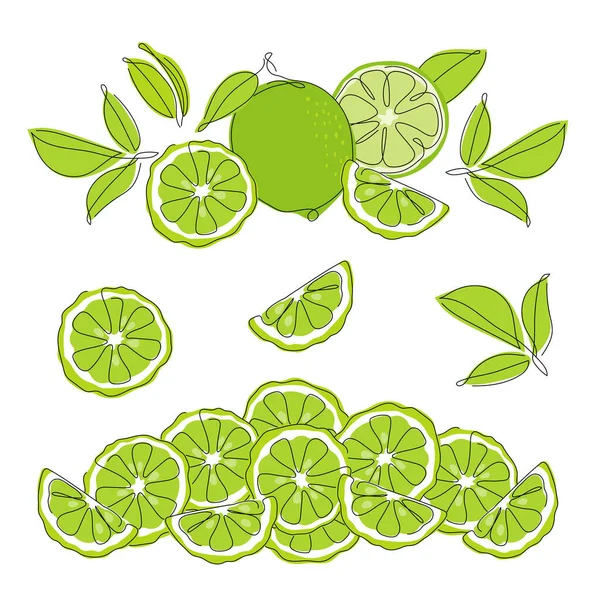 Set of collection compositions with lime, bergamot citrus element fruits. Vector illustration collection tropical exotic food. — Stockvektor
