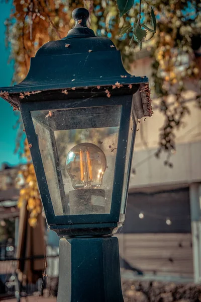 Luminária Vintage Iluminação Urbana Lâmpada Rua — Fotografia de Stock