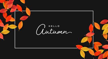 Sonbahar sezonu illüstrasyonu, renkli turuncu ve sarı kuru yapraklar ve siyah arka planda mevsimlik alıntılar. Sonbahar etkinliği veya tatil doğa tasarımı.