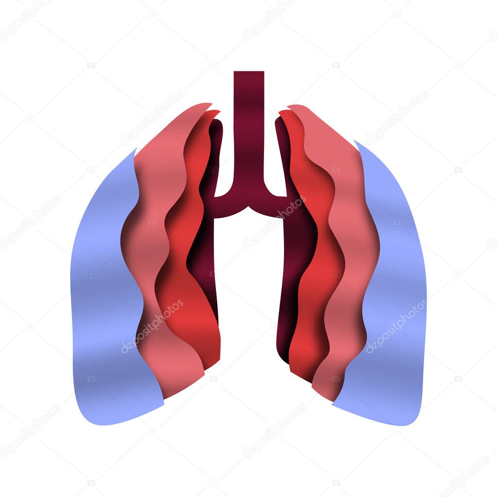 Paper cut human lungs on isolated background. Open lung organ for medicine concept.