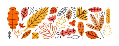 Komik sonbahar yaprağı çizim seti. Çocuk eğitimi veya sonbahar konsepti için izole edilmiş arka planda el çizimi ağaç şekilleri.