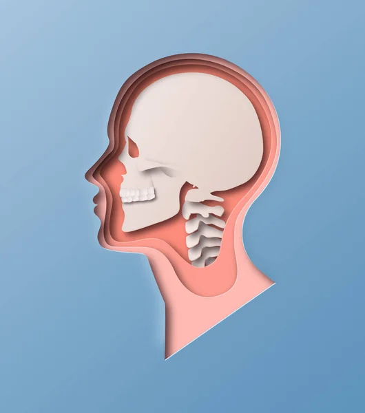 Paper Cut Man Head Illustration Isolated Background Human Skull Ray — Stock Vector