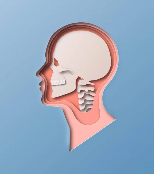 Papiergeschnittene Mannskopfillustration Auf Isoliertem Hintergrund Röntgenbild Des Menschlichen Schädels Mit — Stockvektor