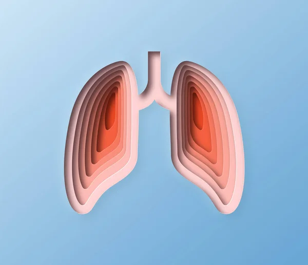 Papel Realista Cortó Ilustración Los Pulmones Humanos Capas Colorido Órgano — Vector de stock