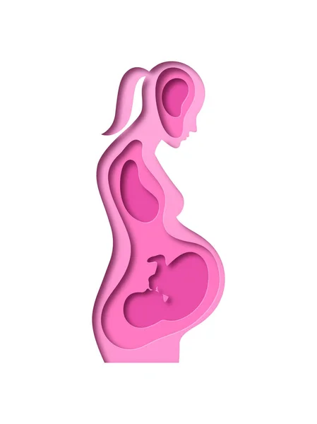 Realistic Paper Cut Pregnant Woman Baby Fetus Growing New Mother — Vetor de Stock
