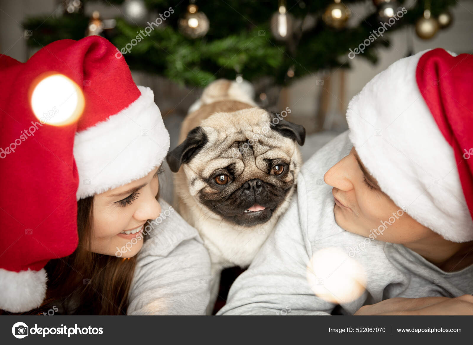 Молодой красивый мужчина и женщина с мопсом лежат у елки в