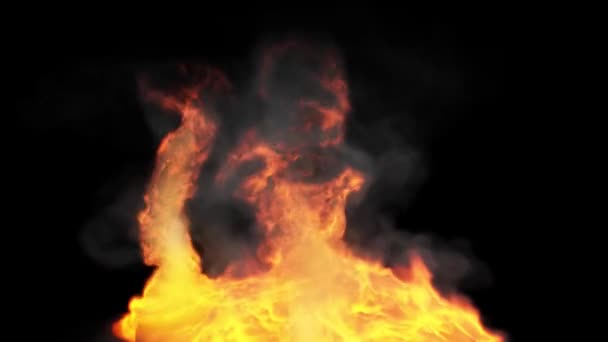 Φωτιά Φλόγες Μαύρο Φόντο Καθιστούν — Αρχείο Βίντεο