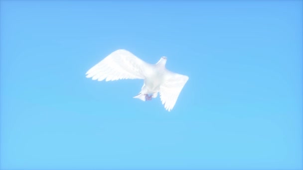 Flyga Vit Duva Blå Himmel Bakgrund Render — Stockvideo