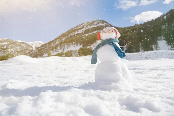 Jolie Bonhomme Neige Noël Extérieur Jour Ensoleillé Espace Pour Texte — Photo