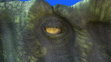 Dinozorun kafasının gözü mavi arka planda 3D görüntüle
