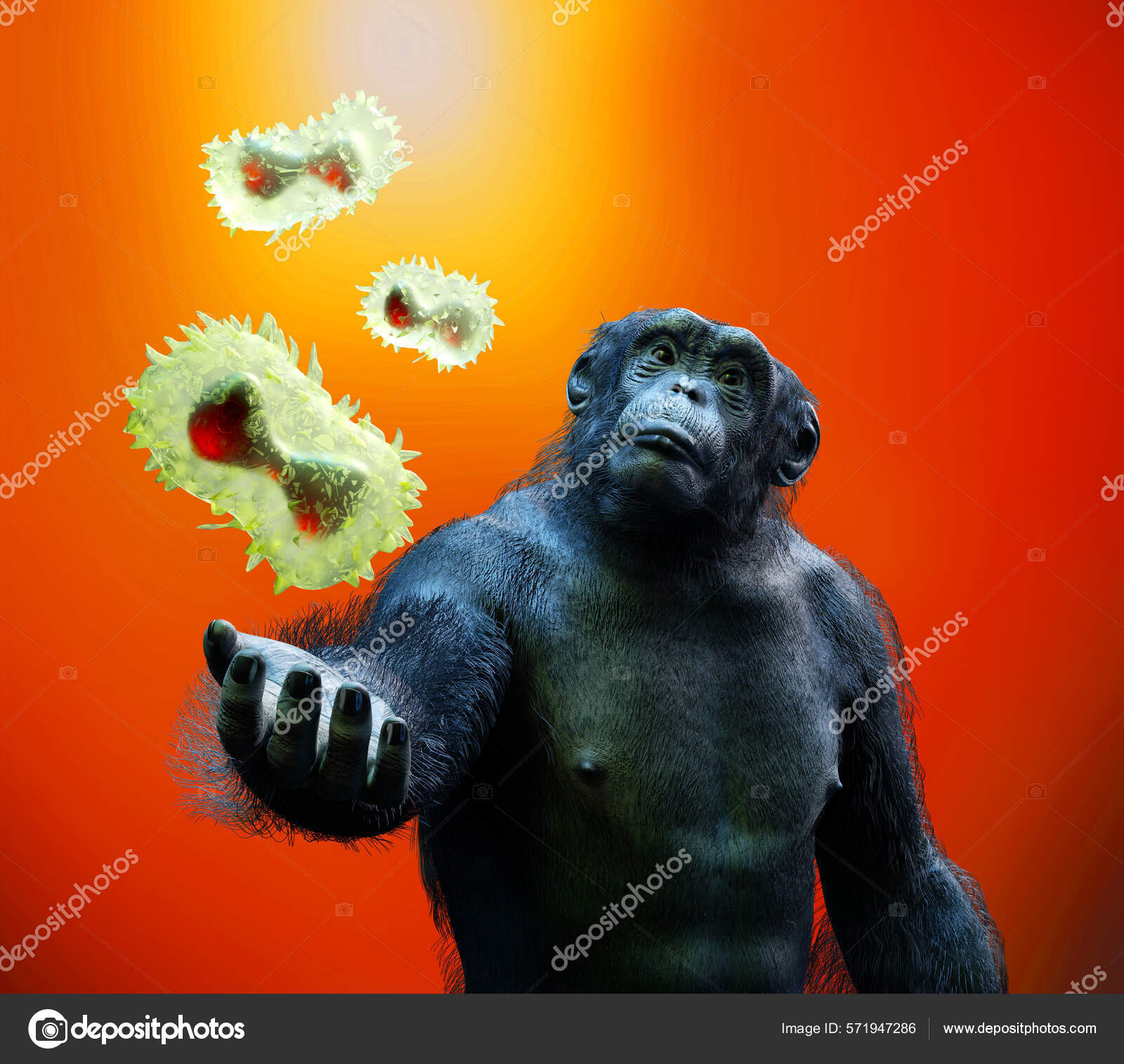 Los simios no hacen preguntas. Si bien los simios pueden aprender el  lenguaje de señas y comunicarse usándolo, nunca han intentado aprender  nuevos conocimientos preguntando a humanos u otros simios. No parecen, image size:1600x1514