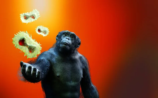 源自动物及猴子的猴痘病毒第3D章 — 图库照片