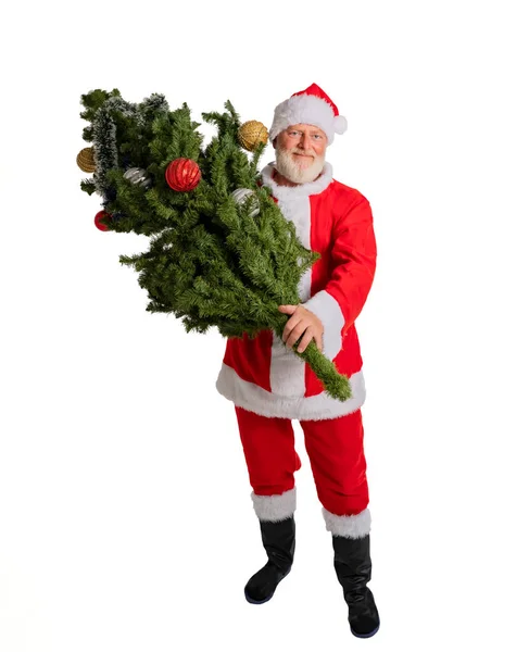 Santa Claus Holds Christmas Tree White Background — Stock Photo, Image