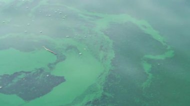 Kirlenmiş suyu kimyasal toprakla kapatın.