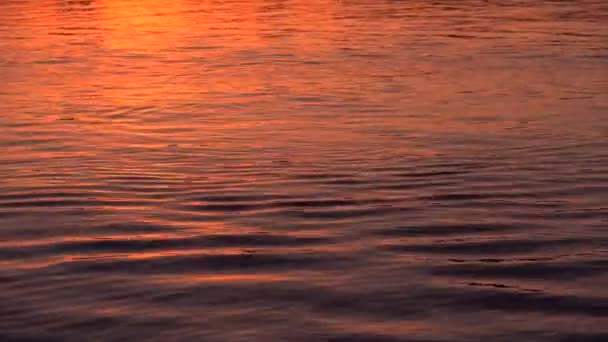 Imágenes de cerca de los colores del atardecer reflejados en las olas del lago — Vídeo de stock
