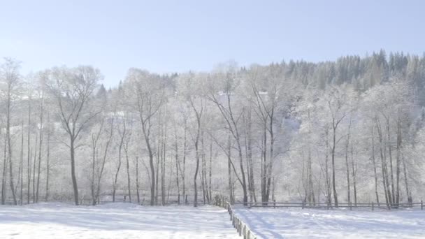 Imágenes panorámicas en movimiento del hermoso paisaje invernal después de la nieve en Bucovina, Rumania — Vídeos de Stock