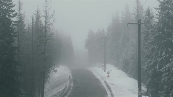 Filmaufnahmen vom Schneefall auf der Bergstraße im Winter, wunderschönem Nadelwald — Stockvideo