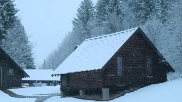 Beautiful dreaming landscape with wooden cottage in forest during snowing time in evening — Stock Video