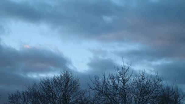 Тимелапс хмарного яскраво-синього вечірнього неба — стокове відео