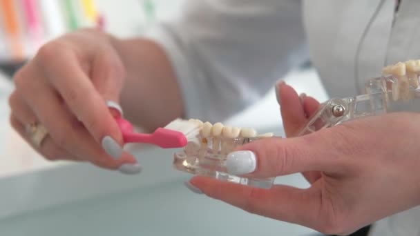 Close up vídeo do dentista mostrando como escovar os dentes — Vídeo de Stock