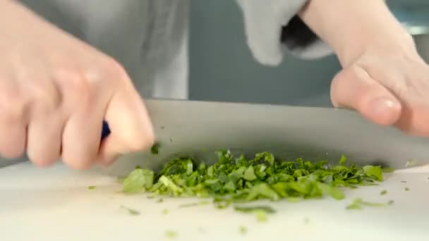 Gros plan des images du chef coupant du persil vert — Video