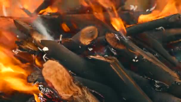 Крупним планом кадри колод у вогні, підготовка барбекю — стокове відео