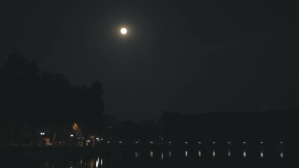 Gece vakti göl kenarında ay ışığında çekilmiş bir park görüntüsü. — Stok video