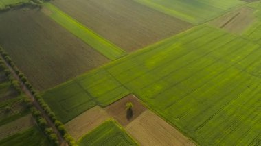 İHA 'dan hareketli hava görüntüleri, yukarıdan inanılmaz güzel tarlalar.