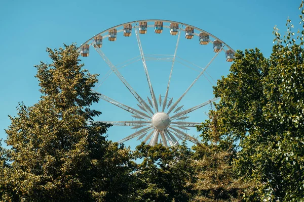 Photo Carousel Wheel Seen Some Trees — Photo