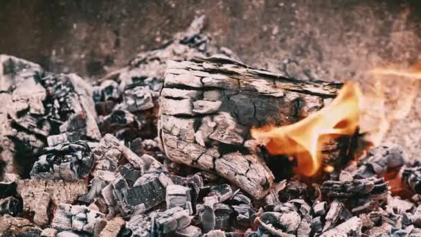 Close Footage Preparing Coal Barbecue — 图库视频影像