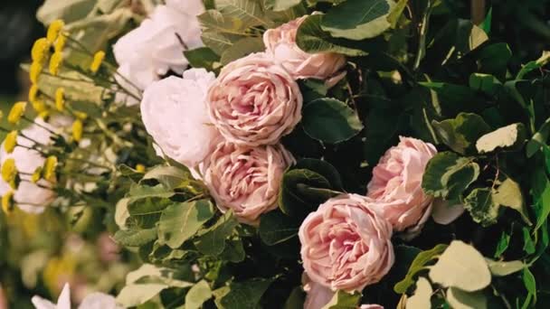 Крупним Планом Кадри Красивих Прикрашених Квітів Весілля Відкритому Повітрі — стокове відео