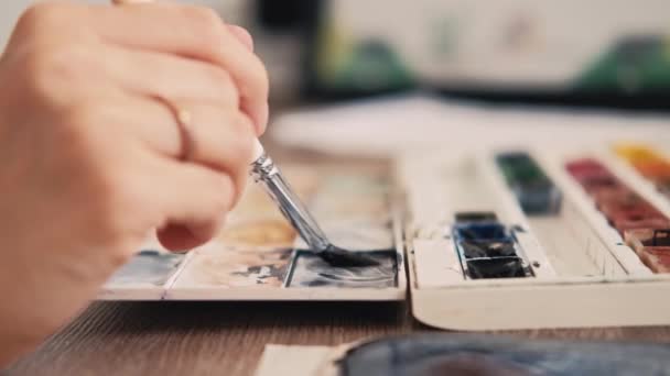 Close Footage Artist Woman Choosing Watercolor Colors Painting — Stock video
