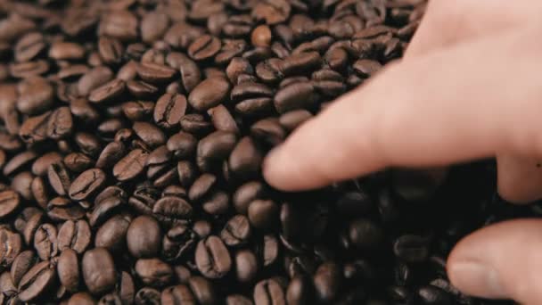 Close Footage Man Hand Holding Fresh Roasted Coffee Beans — стоковое видео