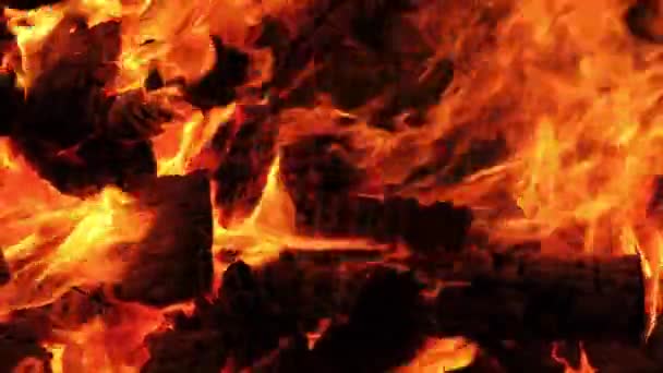 Nahaufnahme Von Brennenden Baumstämmen Während Des Nächtlichen Feuerlagers — Stockvideo