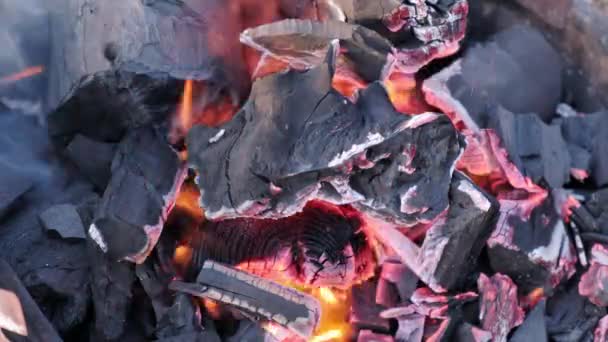 バーベキューの夜のための石炭の準備の映像を閉じる — ストック動画