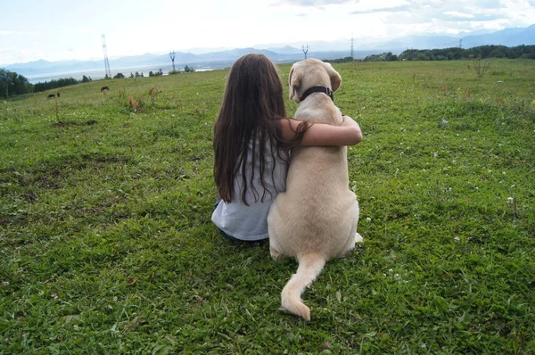 Verano Amigos Una Chica Con Perro Prado Verde —  Fotos de Stock